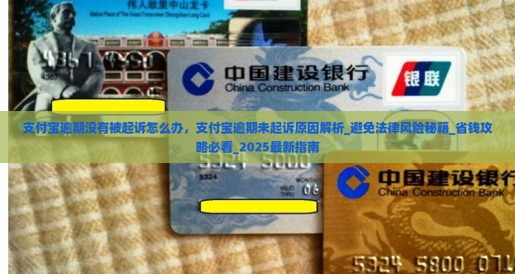 支付宝逾期没有被起诉怎么办