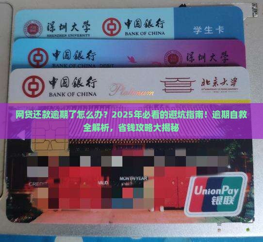 网贷还款逾期了怎么办