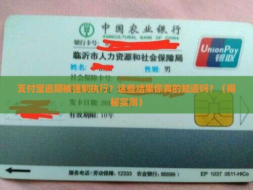 支付宝逾期强制执行的结果如何