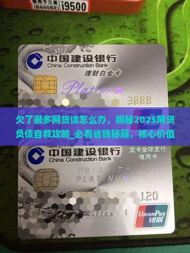 欠了很多网贷该怎么办