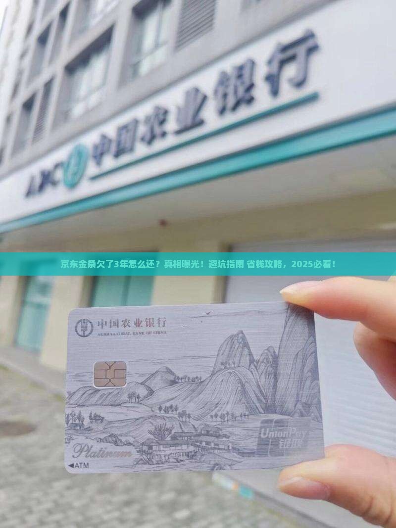 京东金条欠了3年怎么还