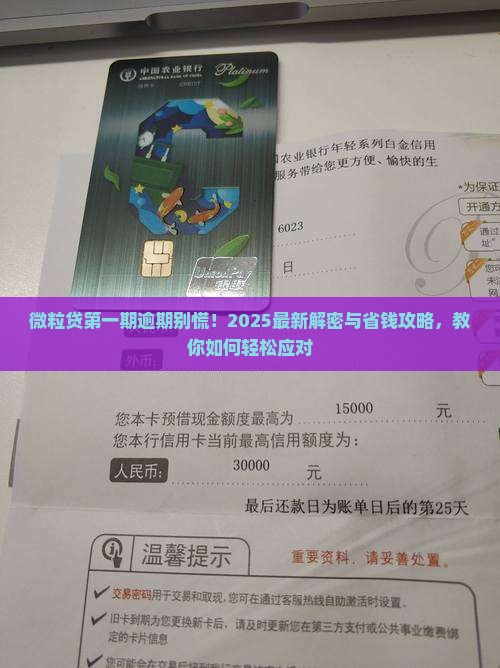 微粒贷第一期逾期怎么处理