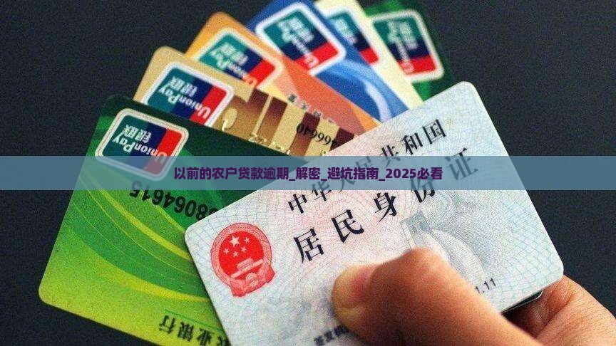 以前的农户贷款逾期
