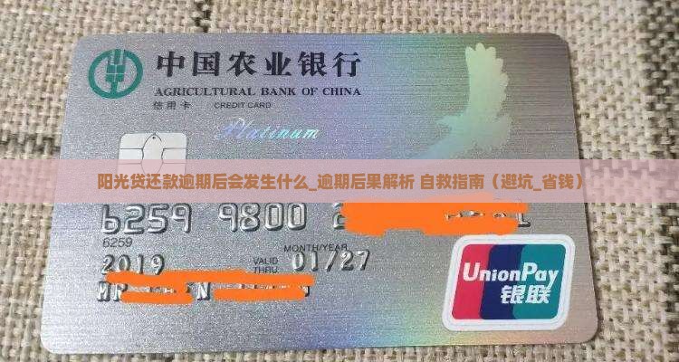 阳光贷还款逾期后会发生什么