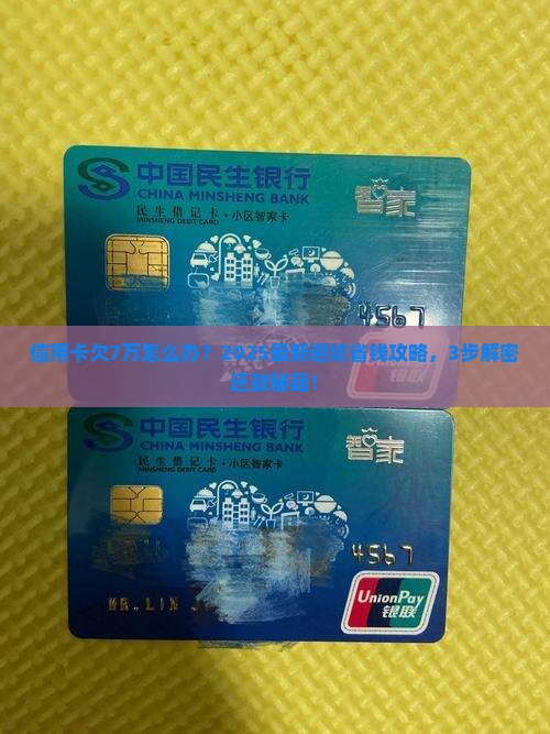 三张信用卡累计欠款7万