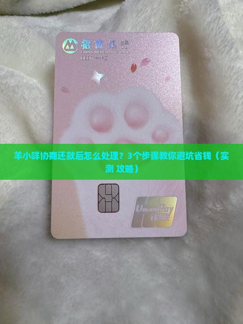 羊小咩协商还款之后如何处理
