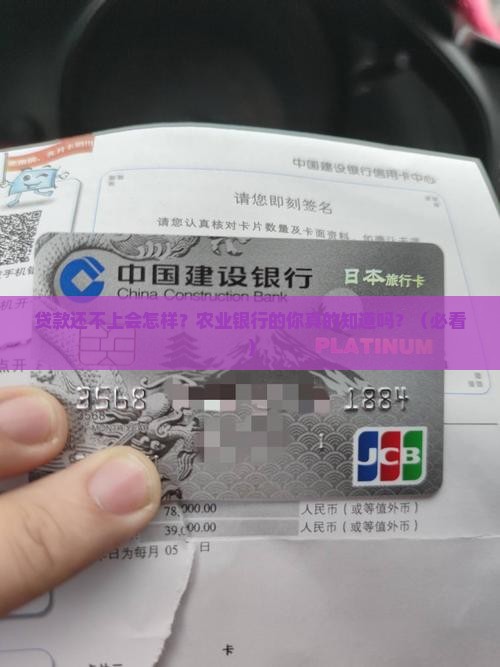 农业银行贷款还不上会发生什么