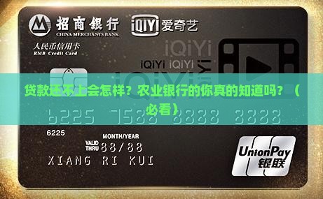 农业银行贷款还不上会发生什么