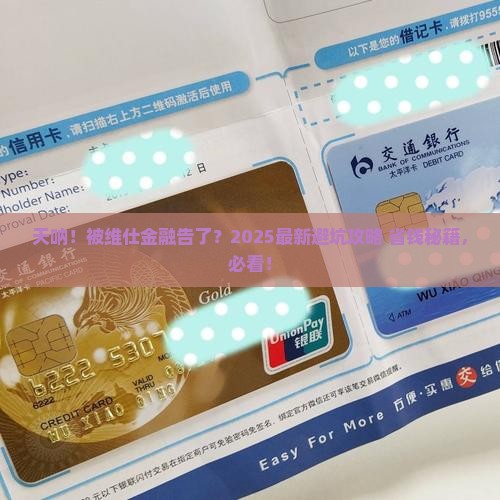 维仕金融起诉我该怎么办