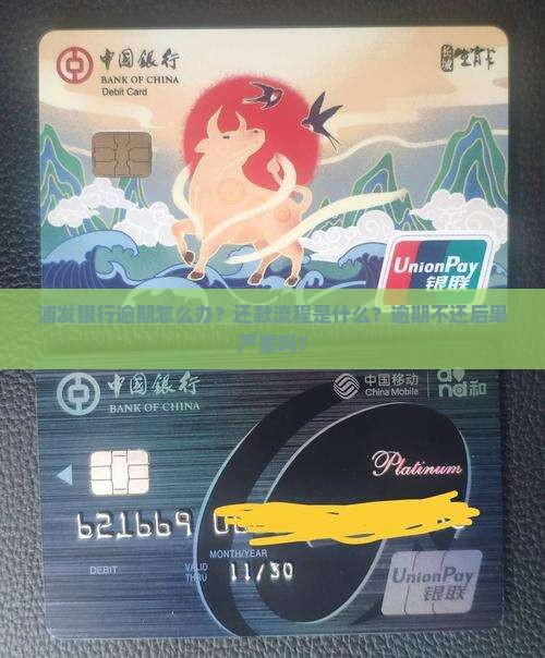 浦发银行逾期怎么办还款流程是什么