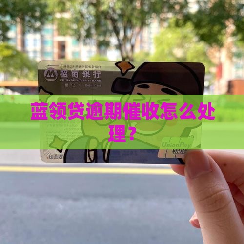 蓝领贷免息催债如何处理
