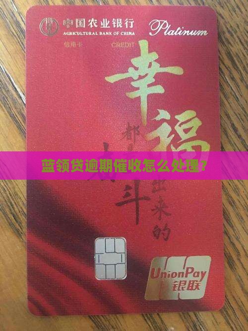 蓝领贷免息催债如何处理