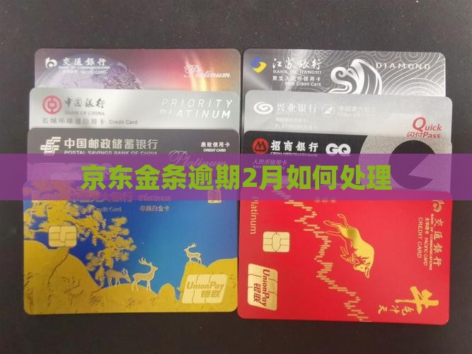 京东金条2000逾期2月应该如何处理