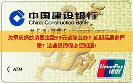 欠重庆蚂蚁消费金融59元该怎么办