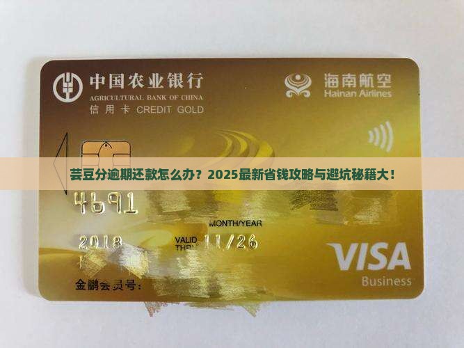 芸豆分逾期还款如何处理