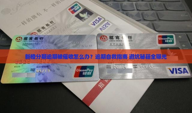 新橙分期逾期应该怎么处理