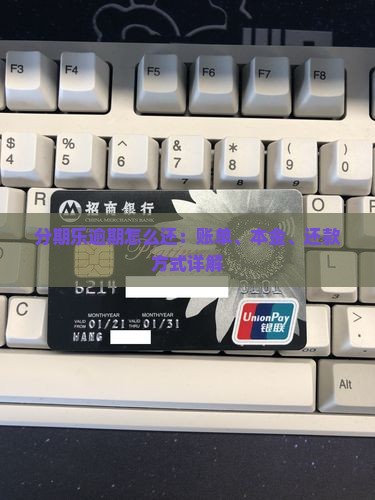 分期乐逾期怎么还