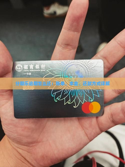 分期乐逾期怎么还