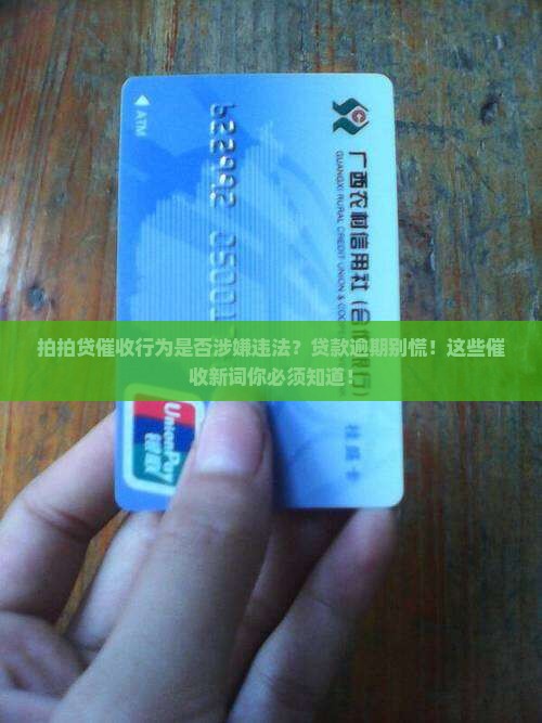 拍拍贷催收行为是否涉嫌违法 拍拍贷催收行为是否涉嫌违法