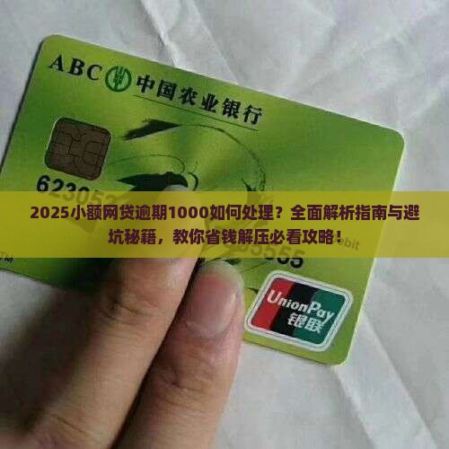 小额网贷逾期1000如何处理