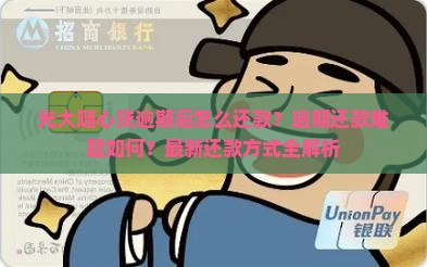 光大随心贷逾期后怎么还款方式选择
