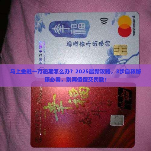 马上金融一万逾期怎么办