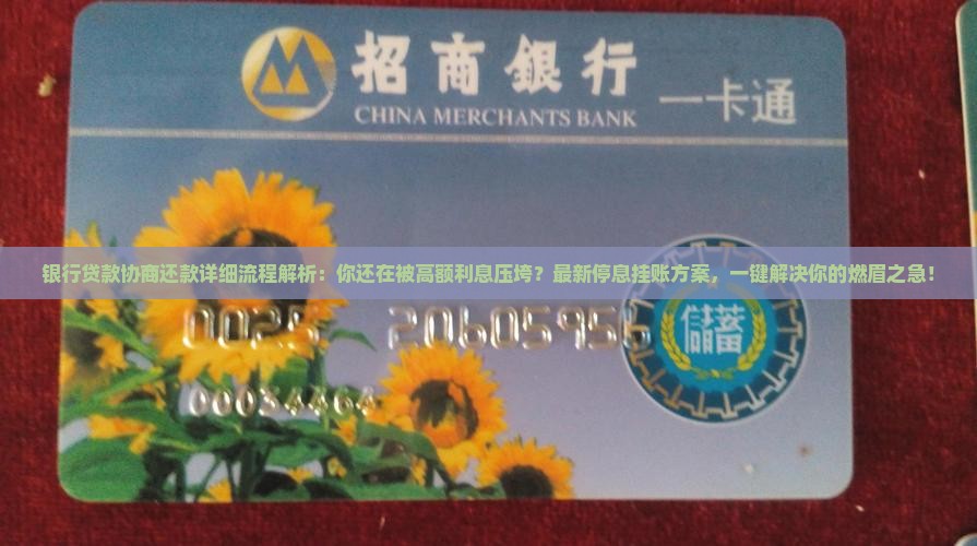 银行贷款协商还款详细流程解析