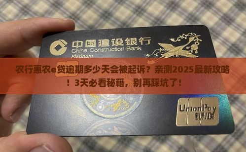农行惠农e贷逾期多少天会被起诉