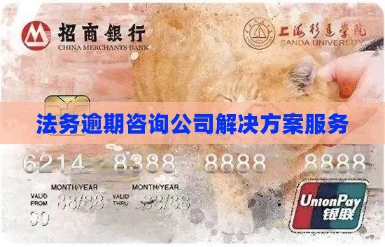 权普法务公司逾期解决方案咨询有哪些服务