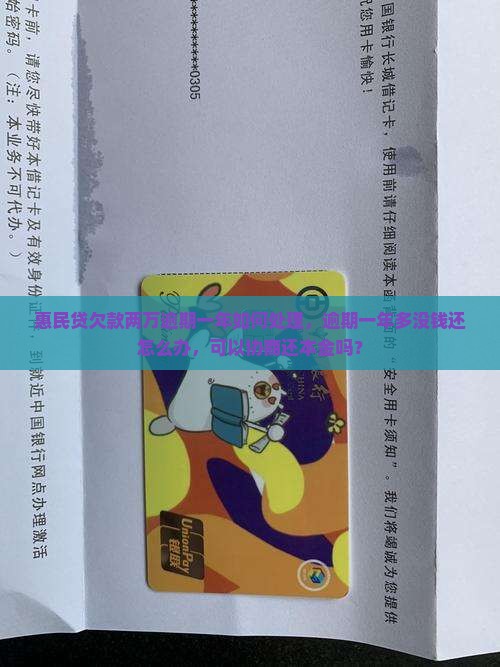 惠民贷欠款两万逾期一年如何处理