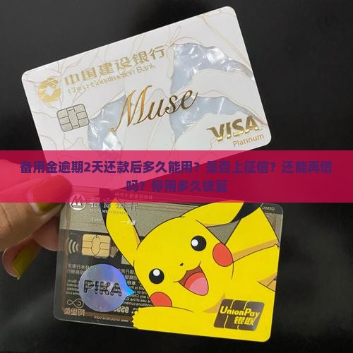 备用金逾期2天还款后多久能用？是否上征信？还能再借吗？停用多久恢复