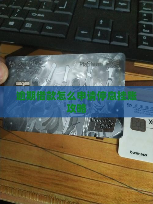 逾期借款怎么申请停息挂账攻略