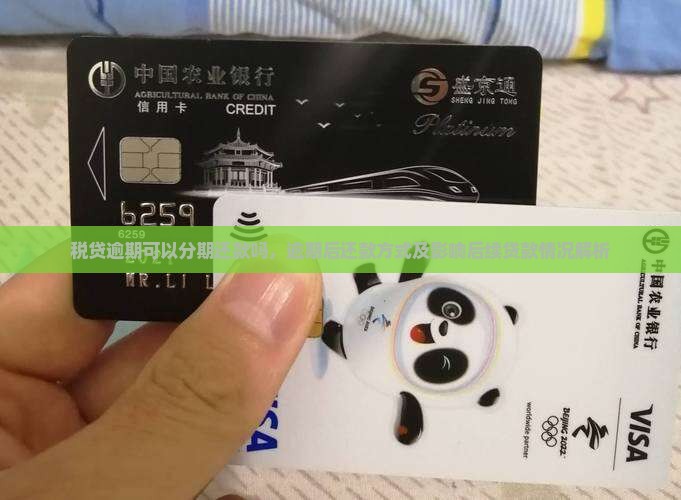 税贷逾期可以分期还款吗，逾期后还款方式及影响后续贷款情况解析