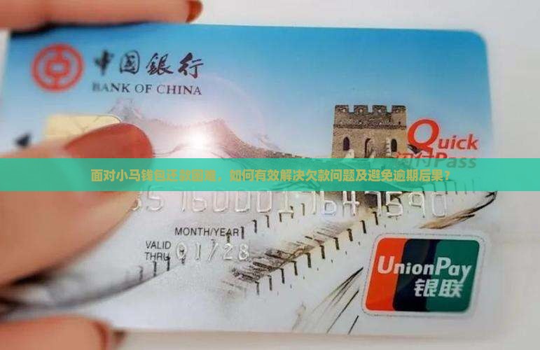面对小马钱包还款困难，如何有效解决欠款问题及避免逾期后果？