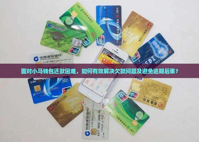 面对小马钱包还款困难，如何有效解决欠款问题及避免逾期后果？