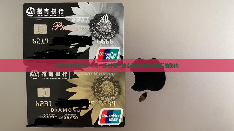 乐琪贷为何逾期一天？探讨用户痛点及金融新词背后的影响