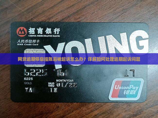 网贷逾期停息挂账后被起诉怎么办？详解如何处理逾期起诉问题
