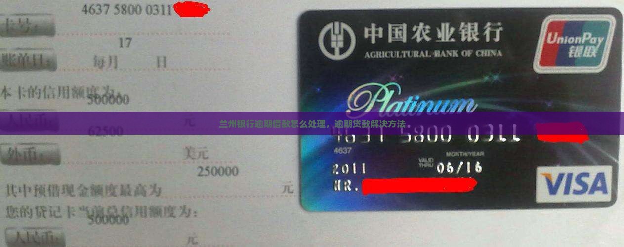 兰州银行逾期借款怎么处理，逾期贷款解决方法