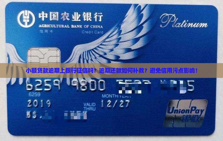 小额贷款逾期上银行征信吗？逾期还款如何补救？避免信用污点影响！