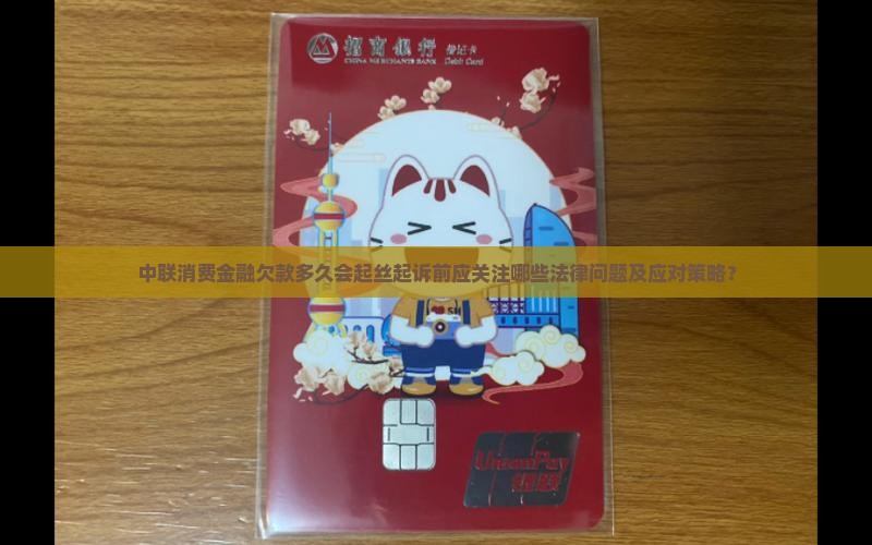 中联消费金融欠款多久会起丝起诉前应关注哪些法律问题及应对策略？