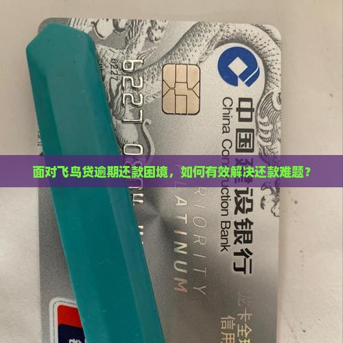 面对飞鸟贷逾期还款困境，如何有效解决还款难题？