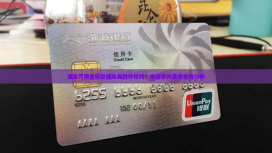 浦发万用金停息挂账真的存在吗？申请条件及安全性分析