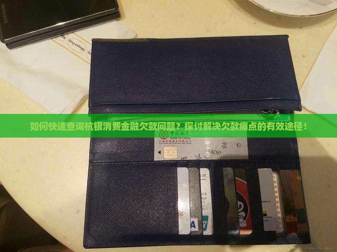 如何快速查询杭银消费金融欠款问题？探讨解决欠款痛点的有效途径！