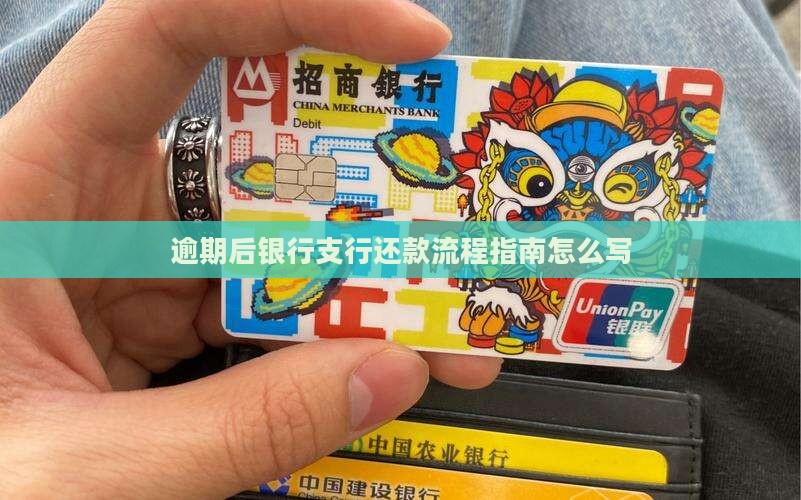 逾期后银行支行还款流程指南怎么写