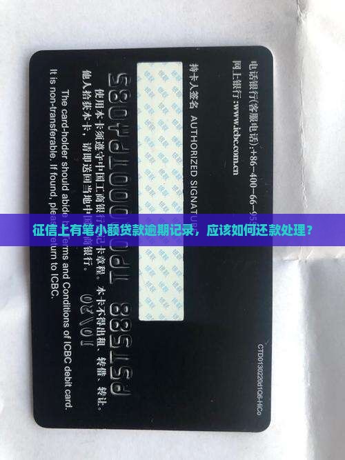 征信上有笔小额贷款逾期记录，应该如何还款处理？