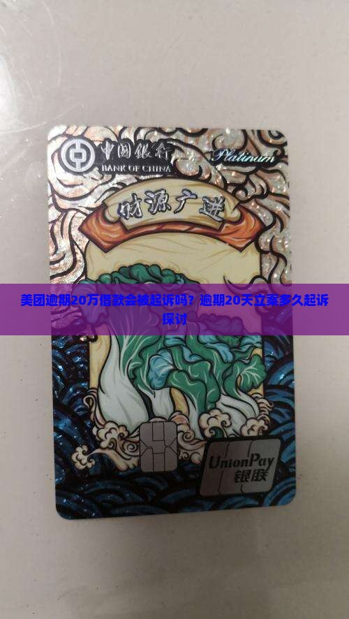 美团逾期20万借款会被起诉吗？逾期20天立案多久起诉探讨
