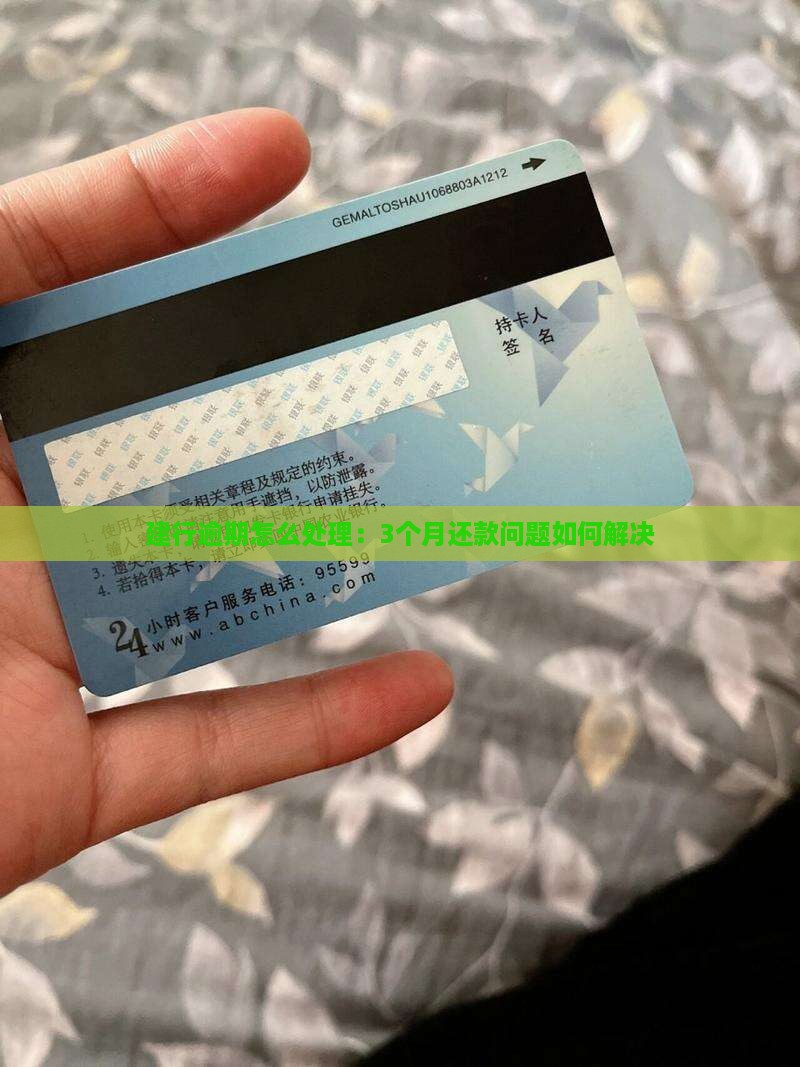 建行逾期怎么处理：3个月还款问题如何解决