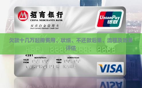 欠款十几万起撕费用、状纸、不还款后果、流程及效果评估