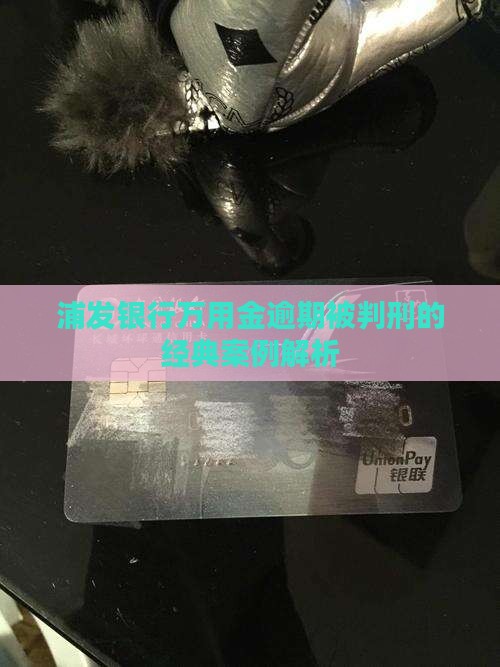 浦发银行万用金逾期被判刑的经典案例解析