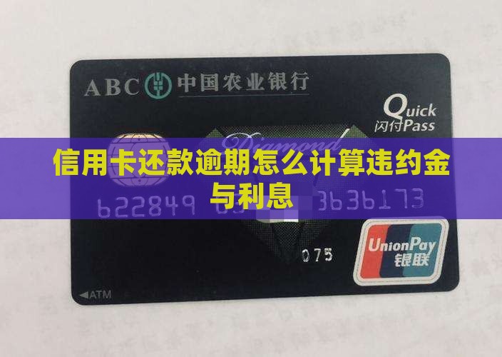 信用卡还款逾期怎么计算违约金与利息